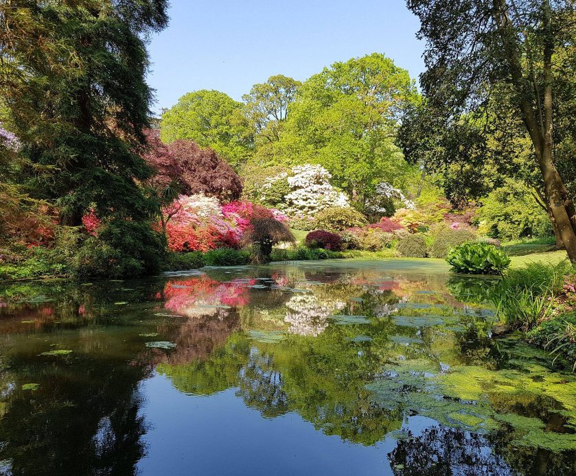 Exbury Gardens In The New Forest