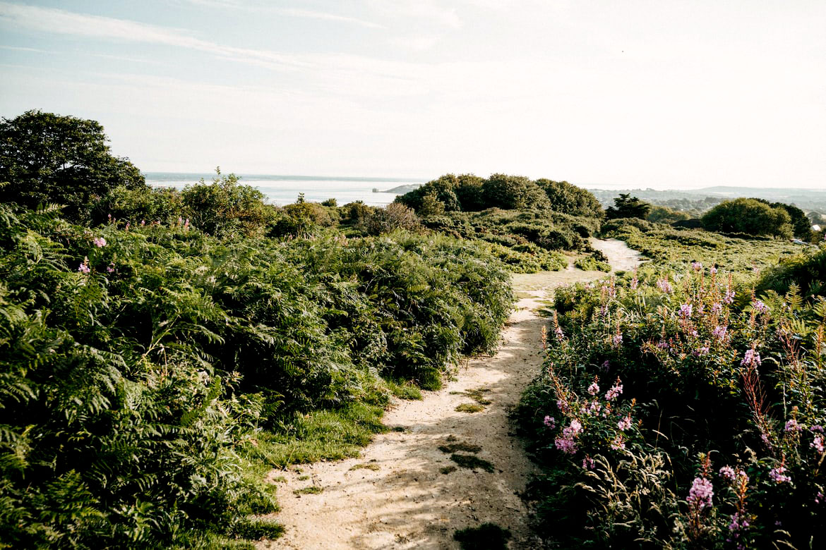 Beach path