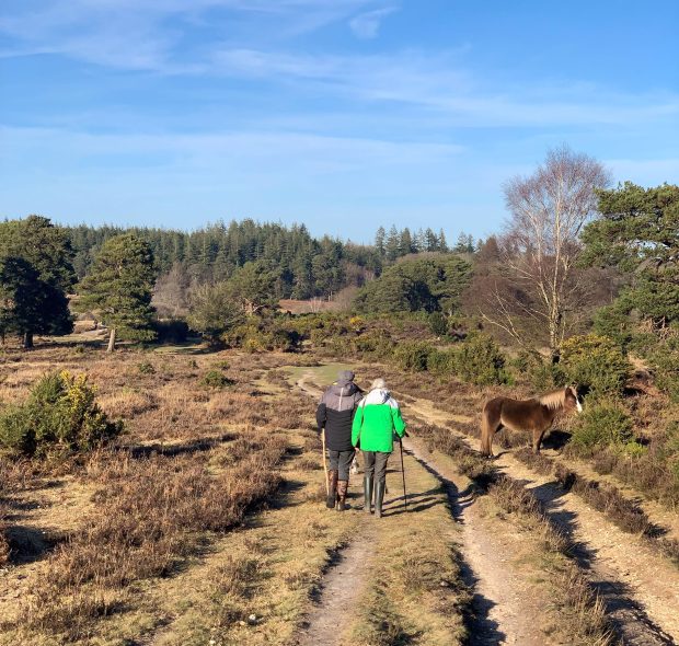People hiking with horses