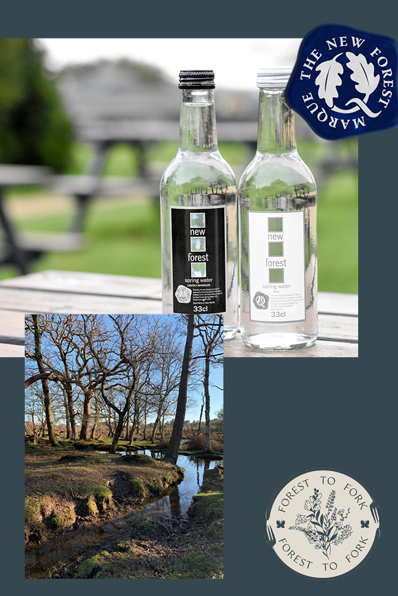 New Forest spring water