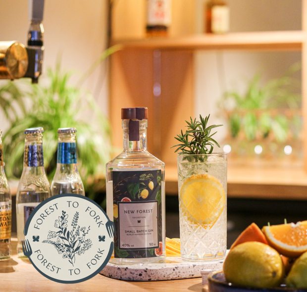 Burley Gin in glass with lemon