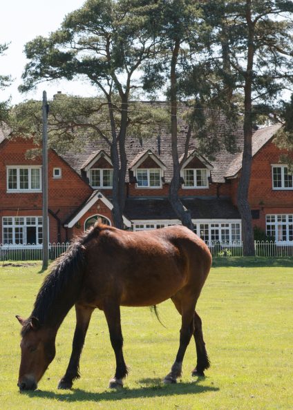 Exterior of Beaulieu Inn with horses