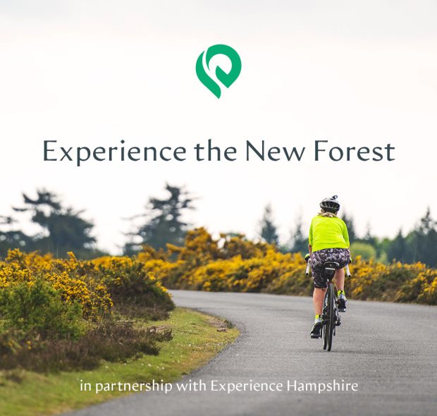 Experience the New Forest