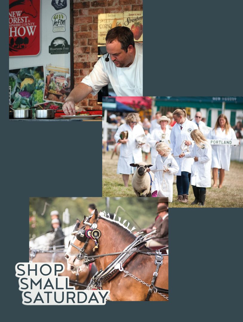 New Forest and Hampshire County Show