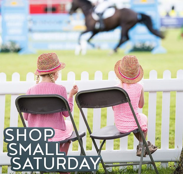 Children sat watching the New Forest and Hampshire Country Show
