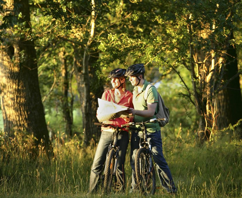 Cyclists in the New Forest