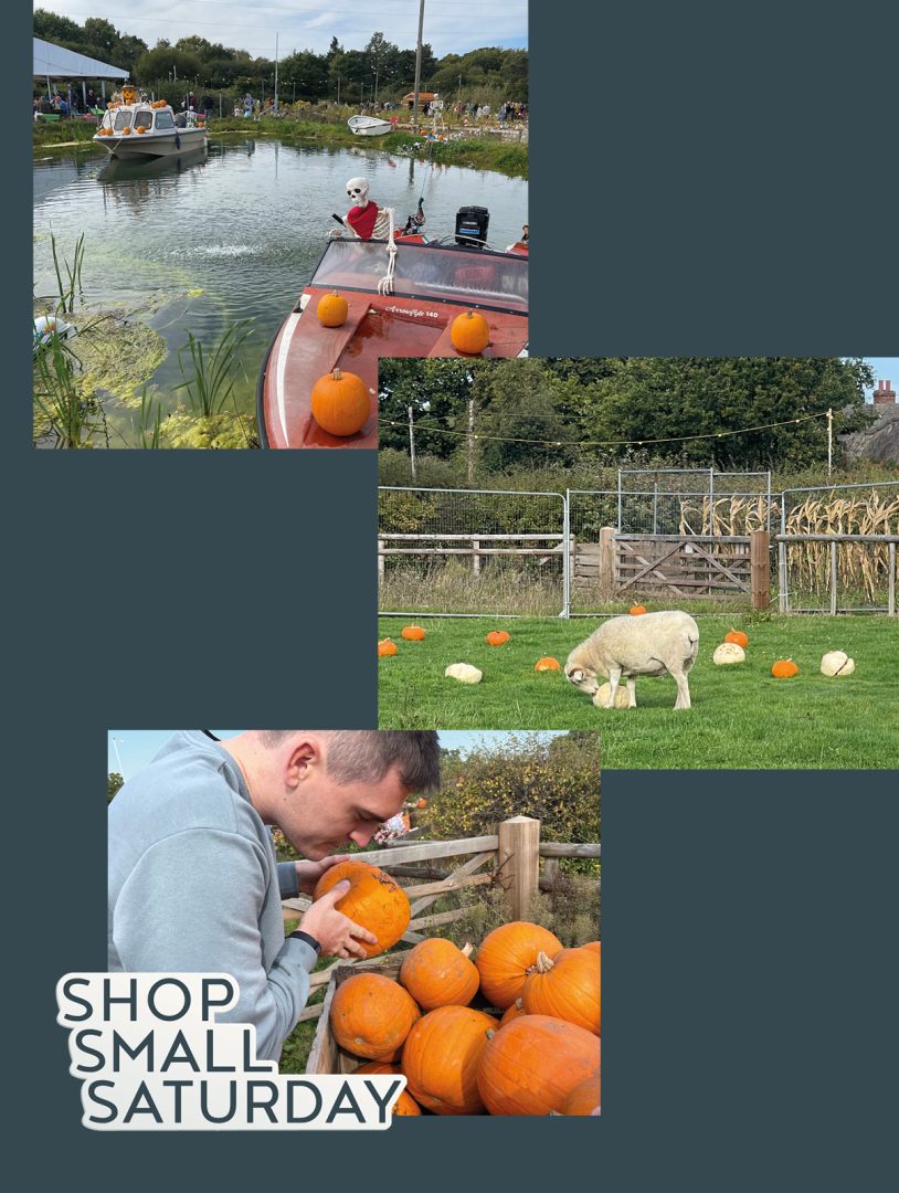 Sunnyfields Farm with pumpkins