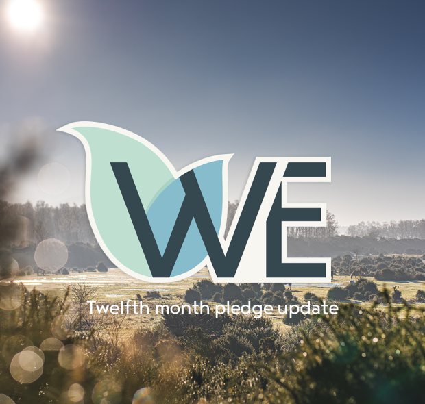 Twelfth month pledge update