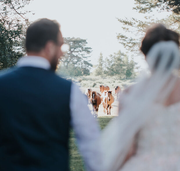 Couple getting marries with horses in distance