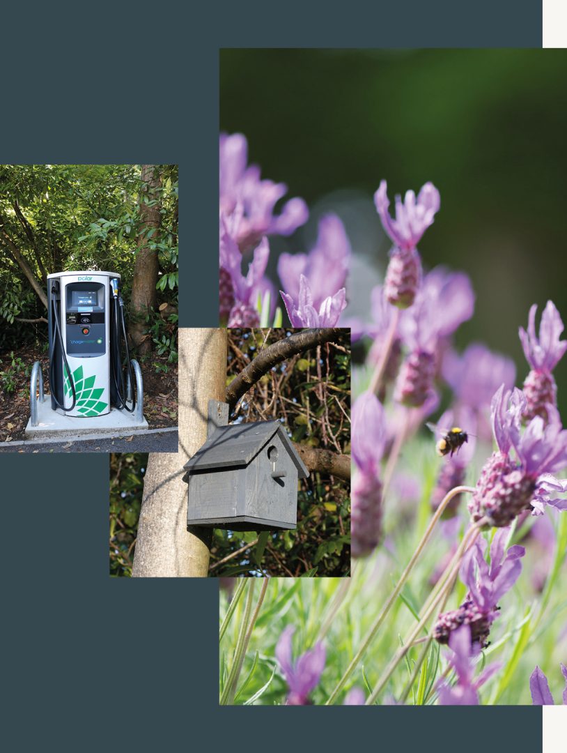 EV charging with a bird house and bees