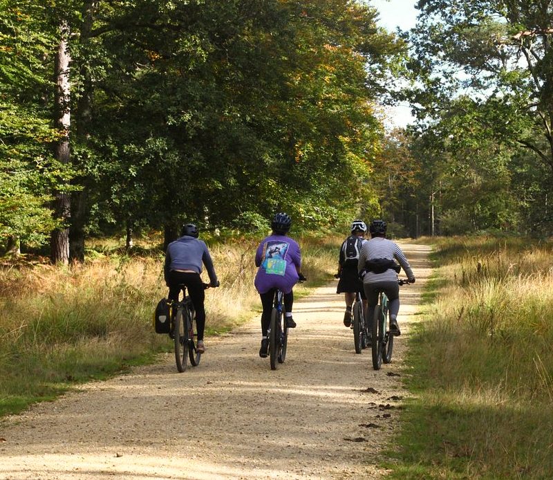 People cycling in woods