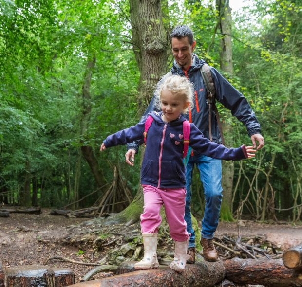 A family enjoying a walk in the New Forest