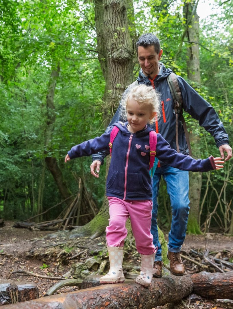 A family enjoying a walk in the New Forest