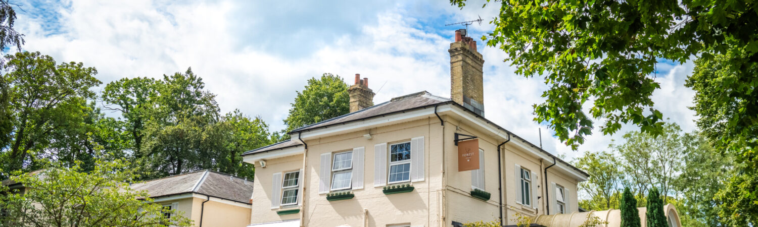 Hotels in The New Forest Forest Lodge