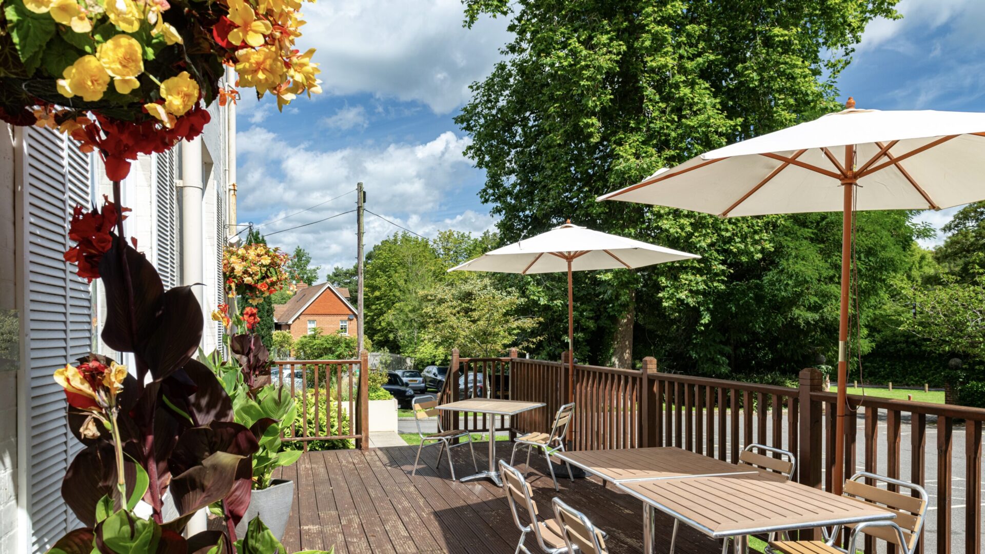 Picture ofGallery -  Forest Lodge