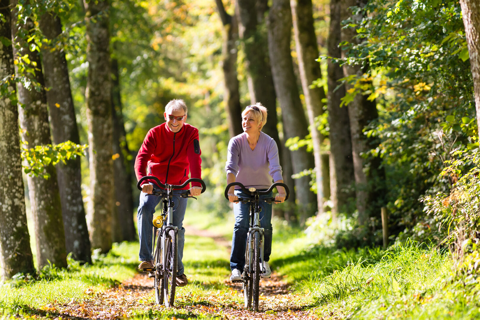 Experience Cycling Trails and Couples Breaks at Bartley Lodge with New Forest Hotels