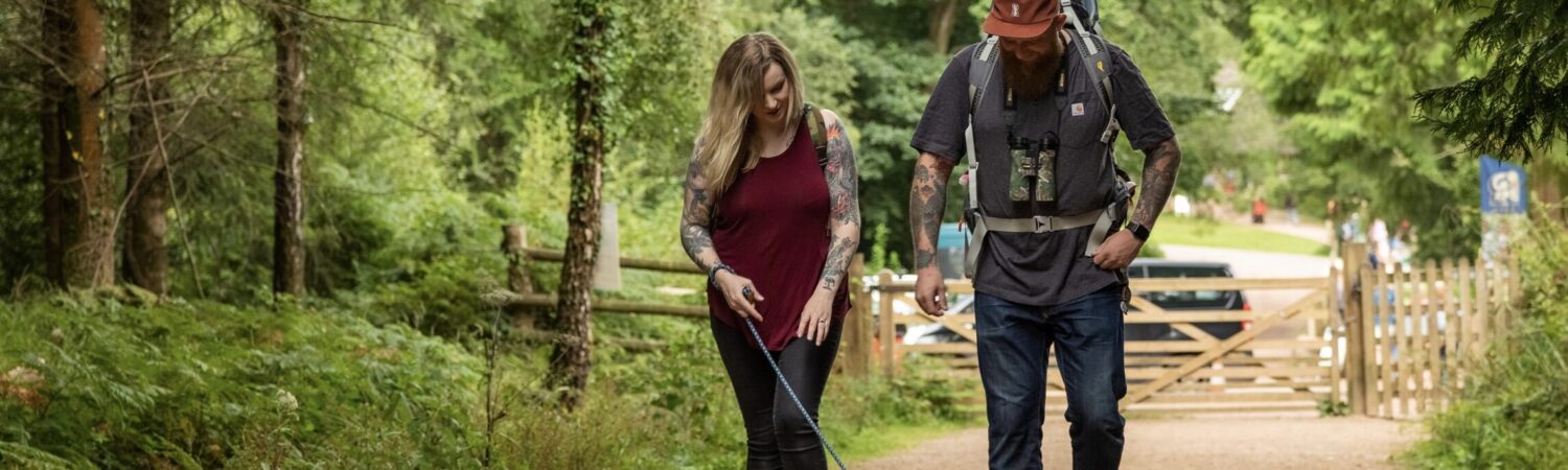 Bolderwood Deer Sanctuary | New Forest National Park