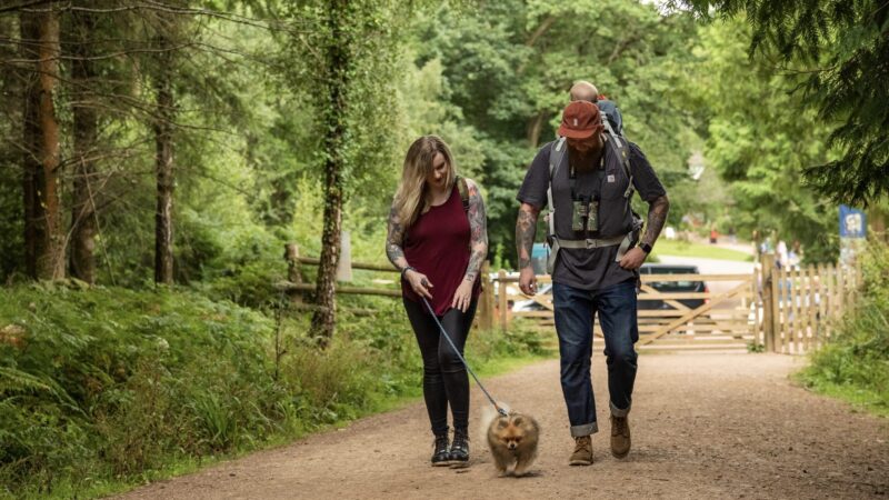 Bolderwood Deer Sanctuary | New Forest National Park