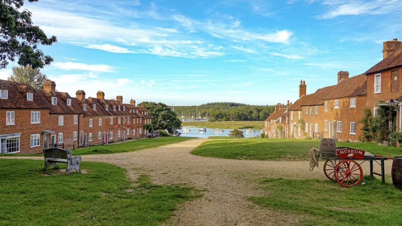 Experiences at The New Forest