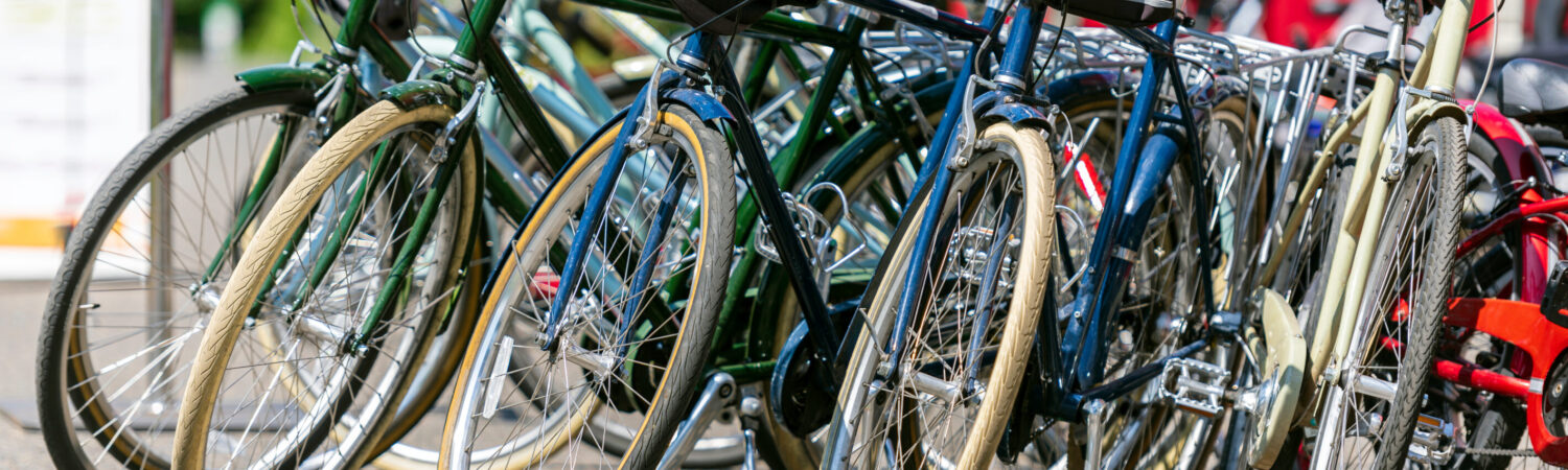Cycling Activities at The New Forest