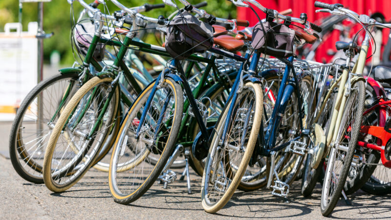 Cycling Activities at The New Forest