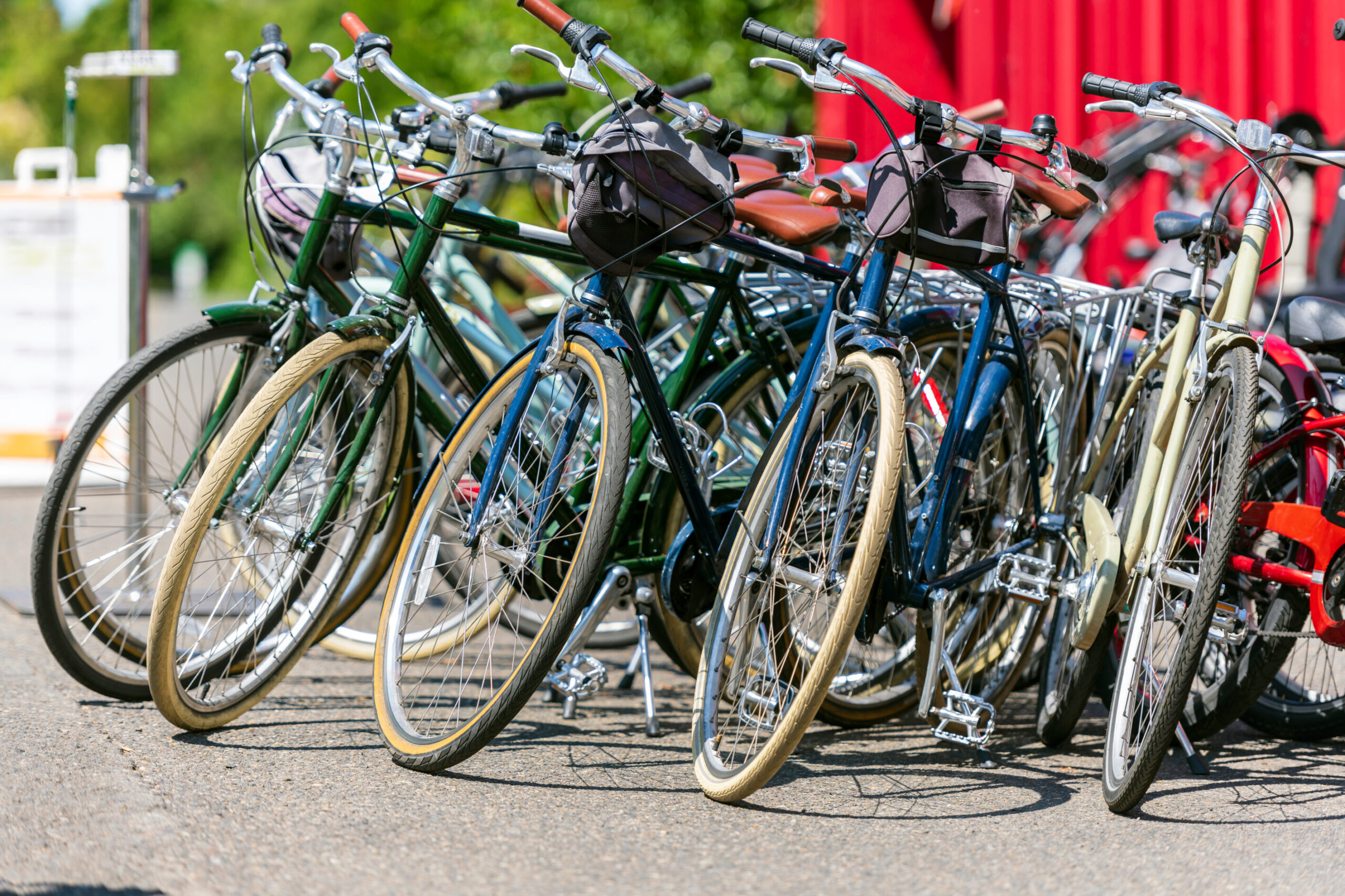 Cycling Activities at The New Forest