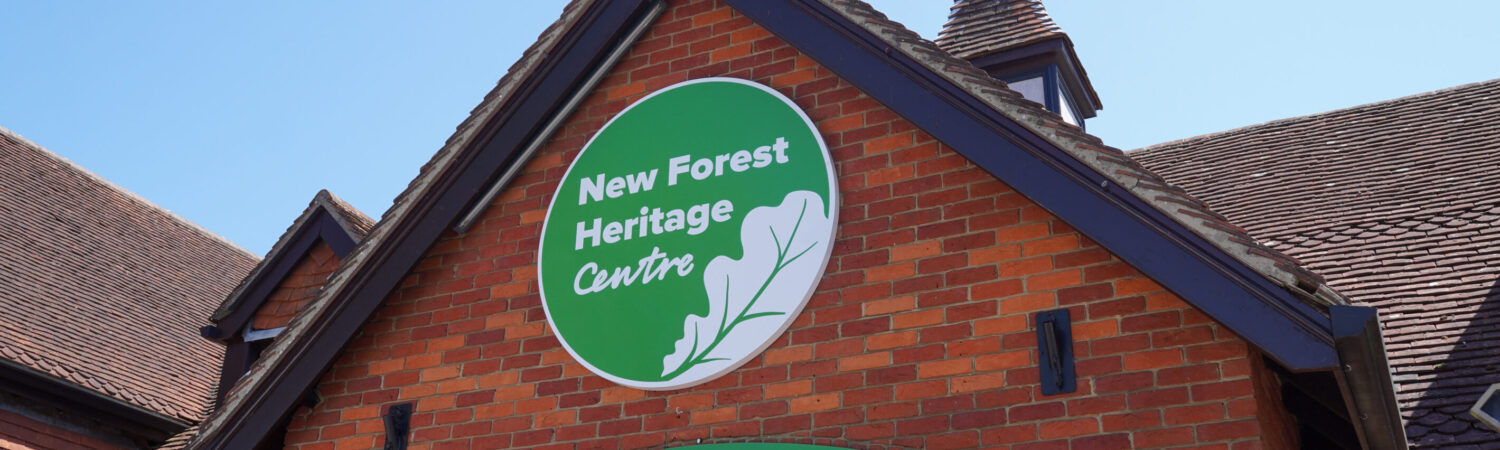 Experiences at The New Forest