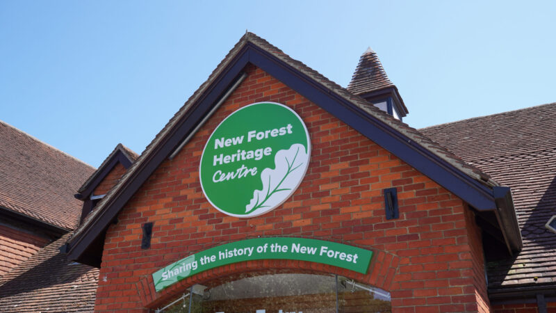Experiences at The New Forest