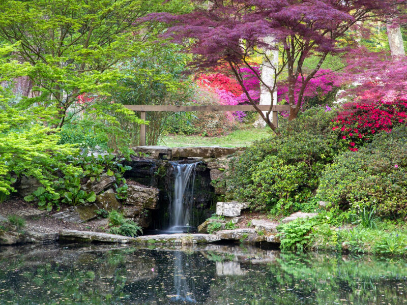 A couple exploring the vibrant pathways of Exbury Gardens, with lush seasonal blooms and scenic views, as part of their New Forest hotel stay, including attraction tickets for a truly immersive nature experience.