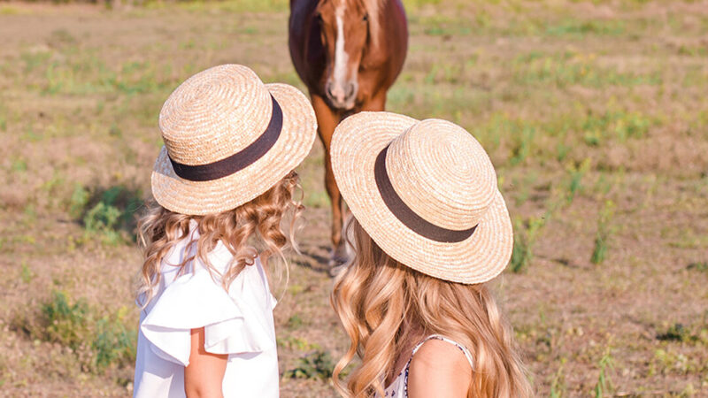 Family Breaks in the New Forest Hotels | Activities for Kids | Wildlife in the New Forest