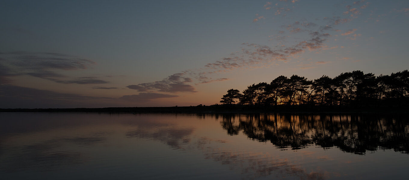 Benefits of Booking Direct with Hotels in the New Forest
