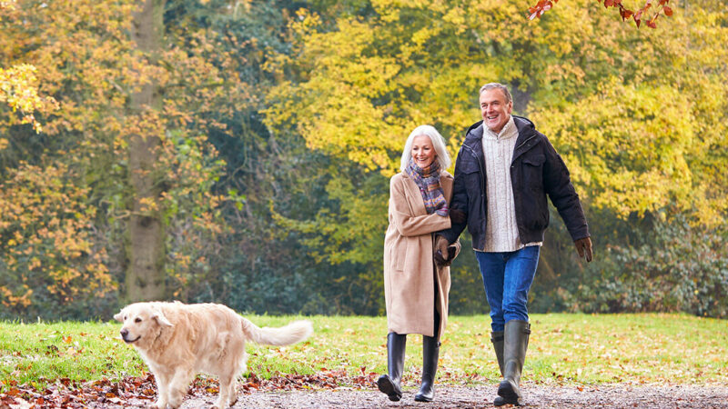 Romantic Breaks at New Forest Hotels