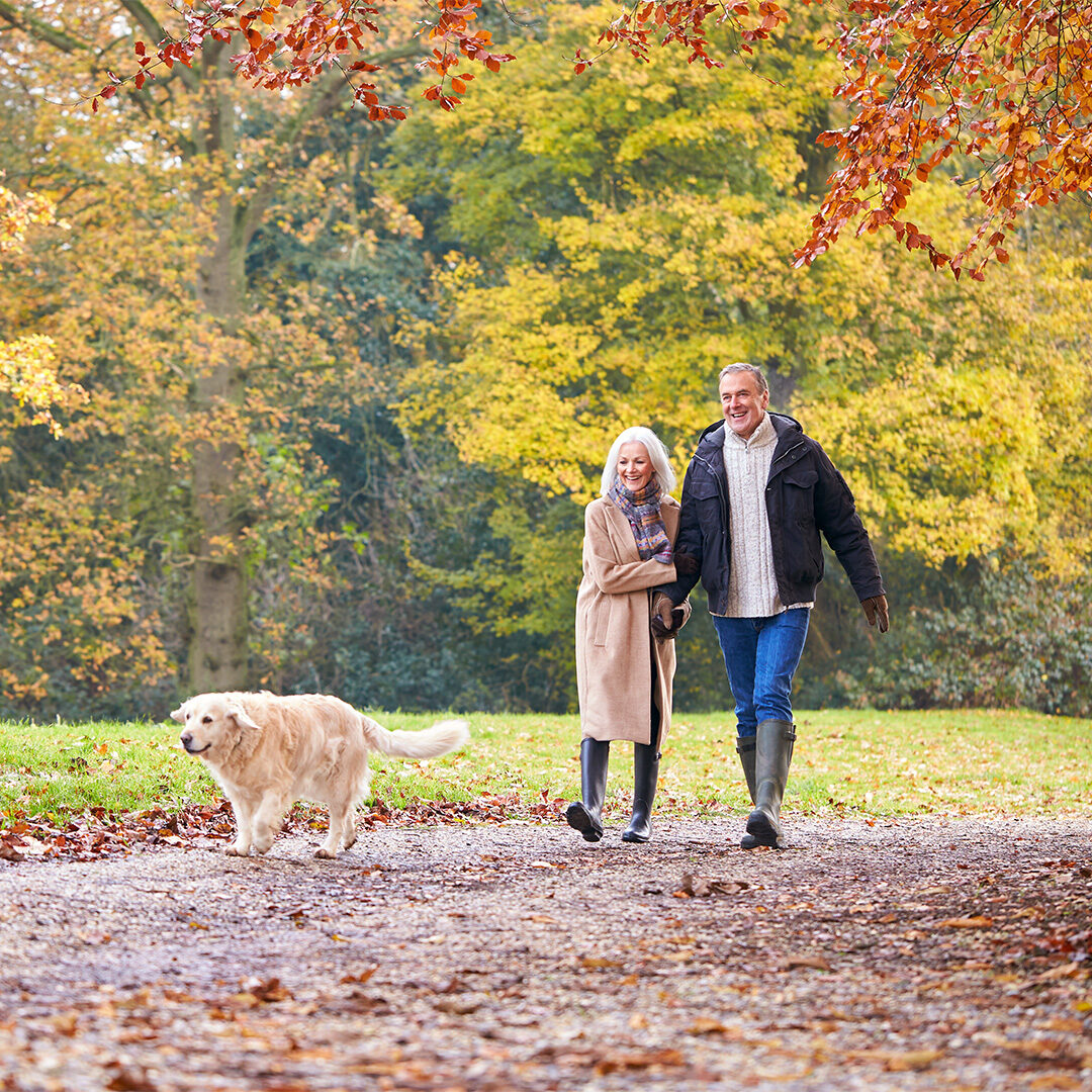Romantic Breaks at New Forest Hotels