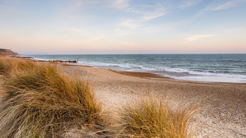 Wellness Retreats In the New Forest Hotels