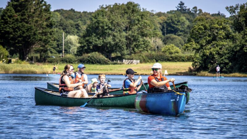 Family Adventures in the New Forest