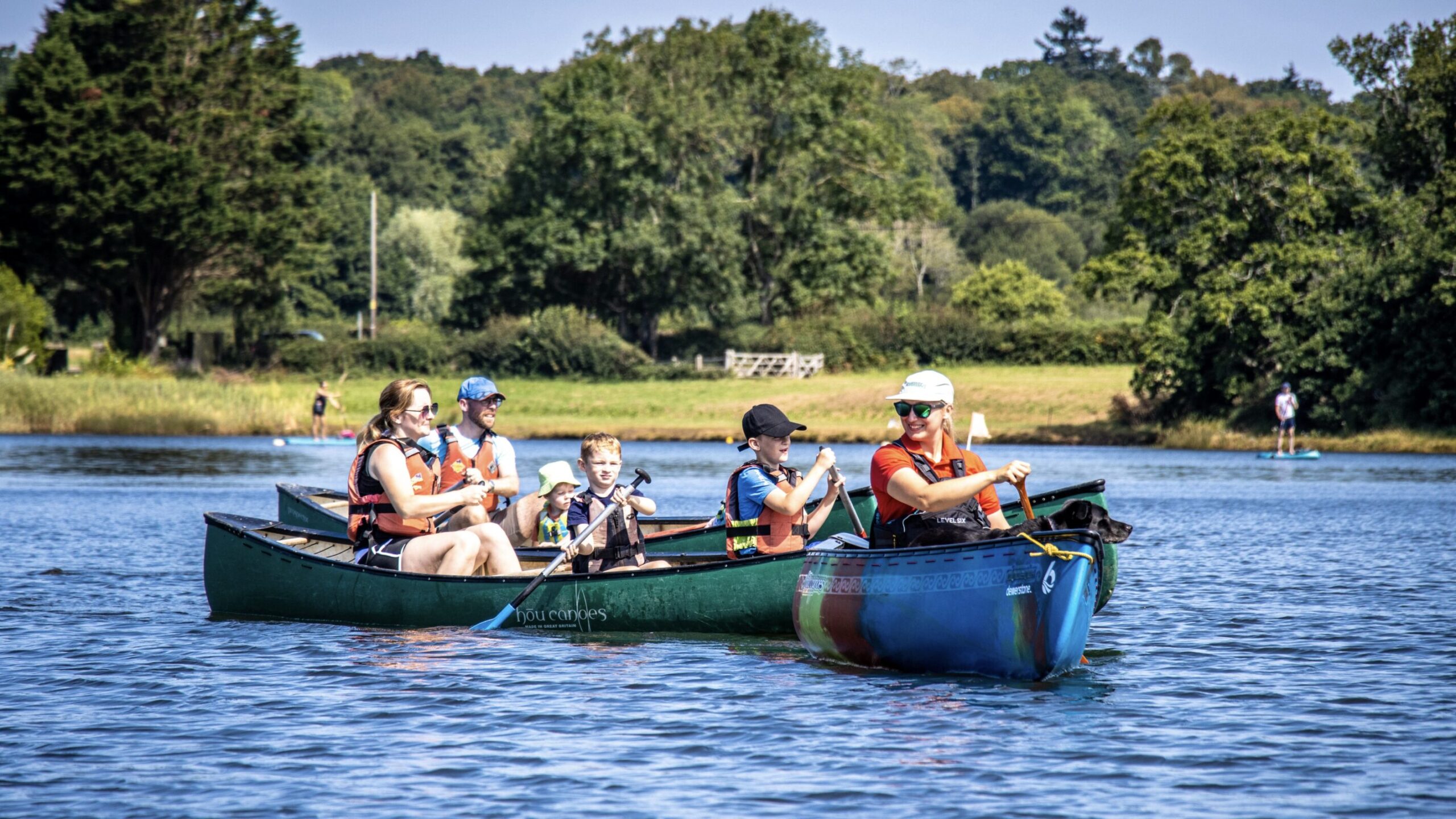 Family Adventures in the New Forest