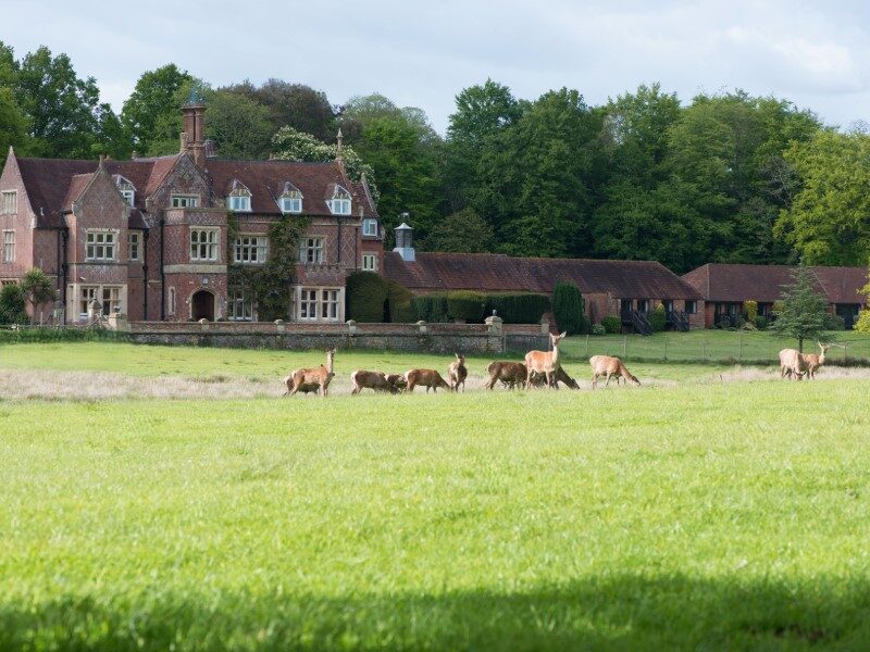 Breaks at Burley Manor Hotel New Forest