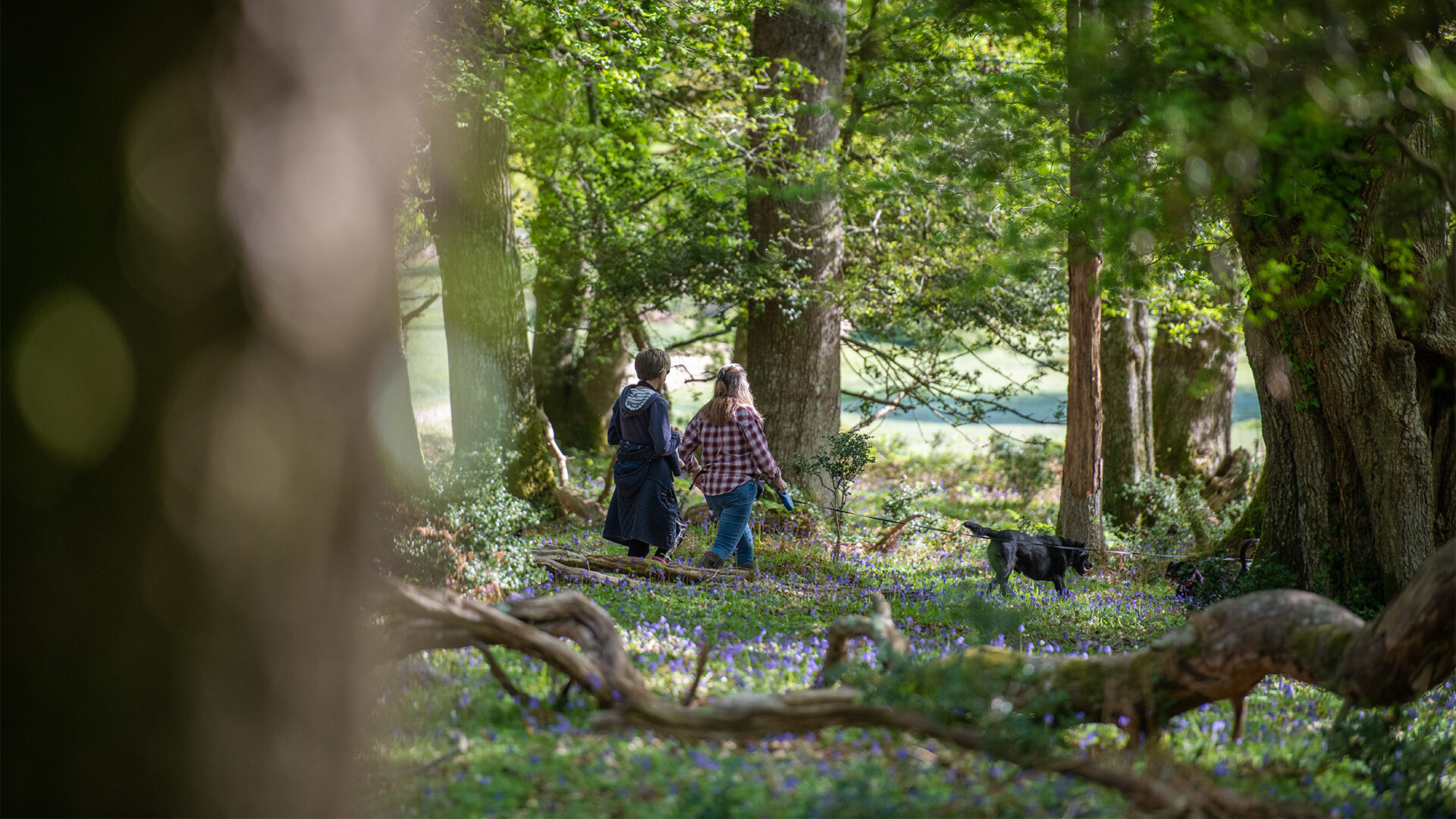 Culture Breaks | New Forest Hotels