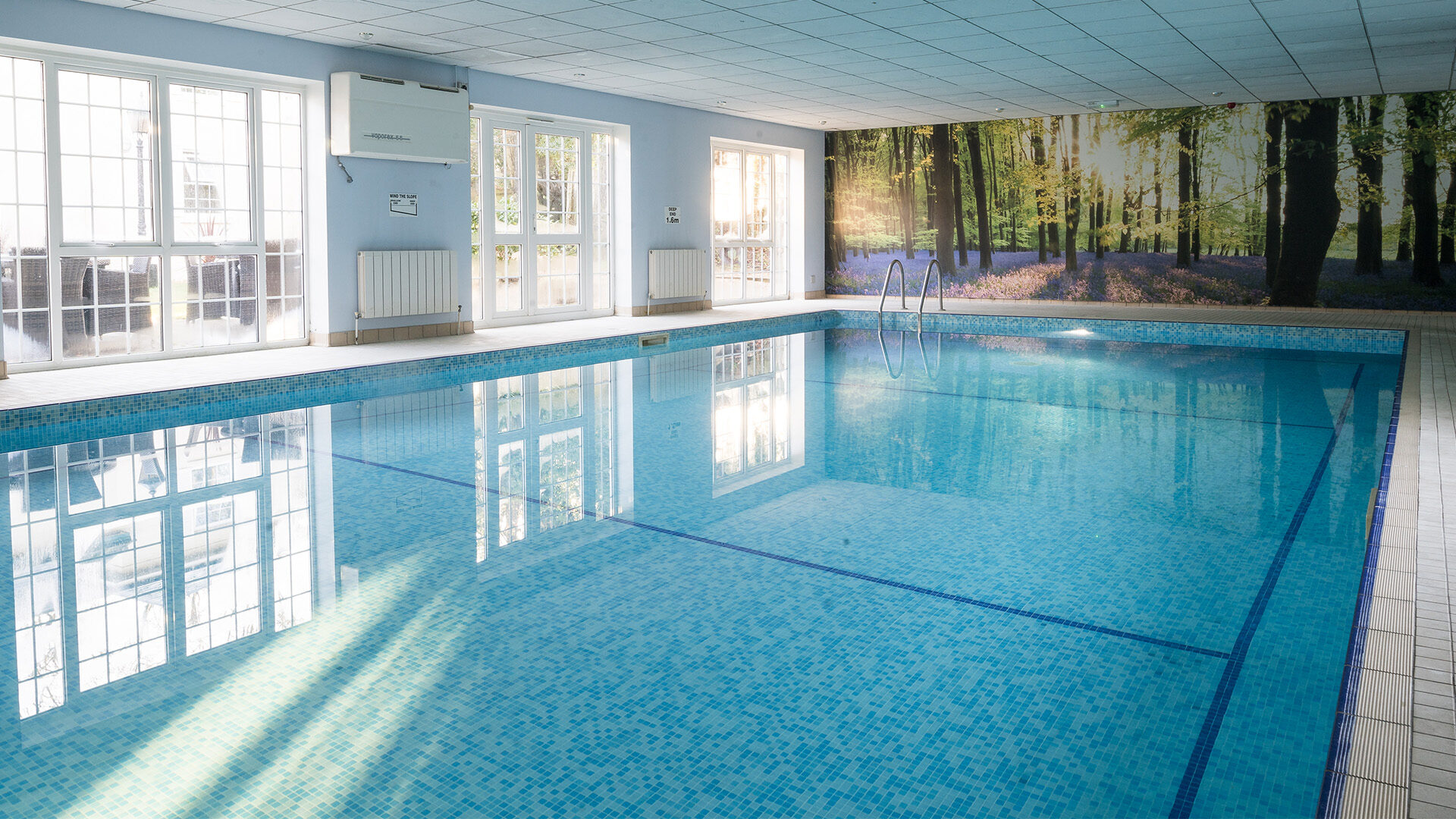 Swimming Pool at Forest Lodge Hotel New Forest