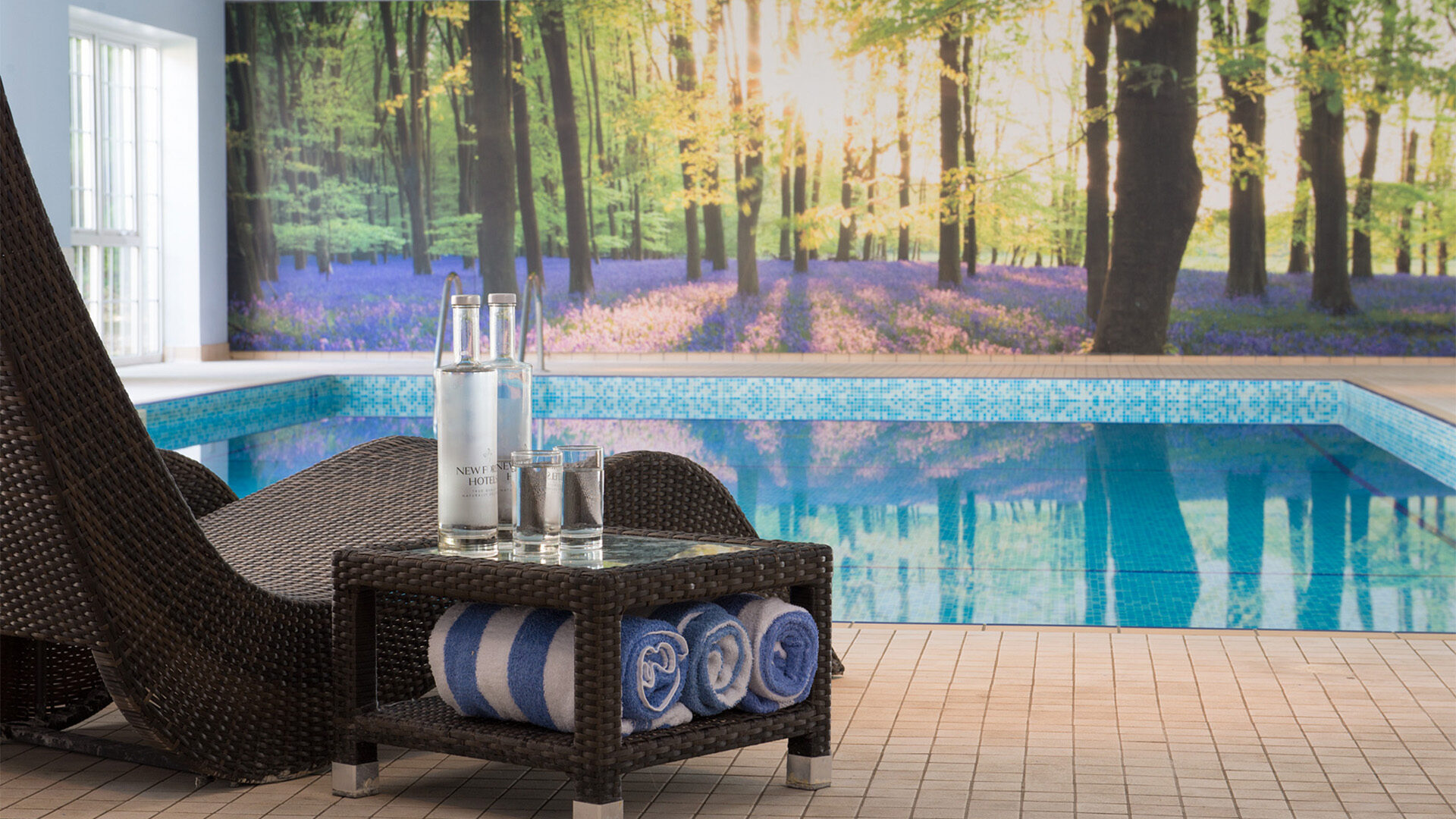 Swimming Pool at Forest Lodge Hotel New Forest