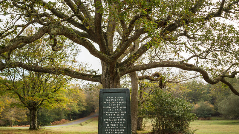 Rufus Stone | Culture Breaks with New Forest Hotels
