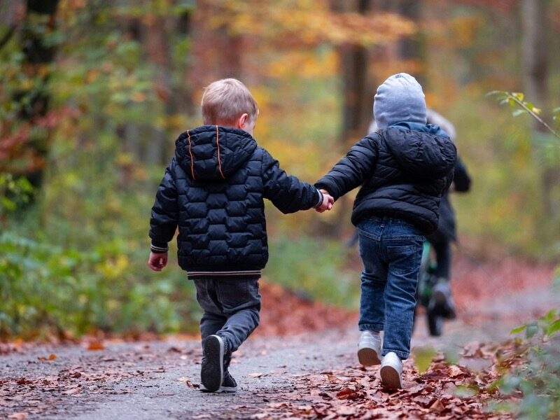 Family Breaks New Forest