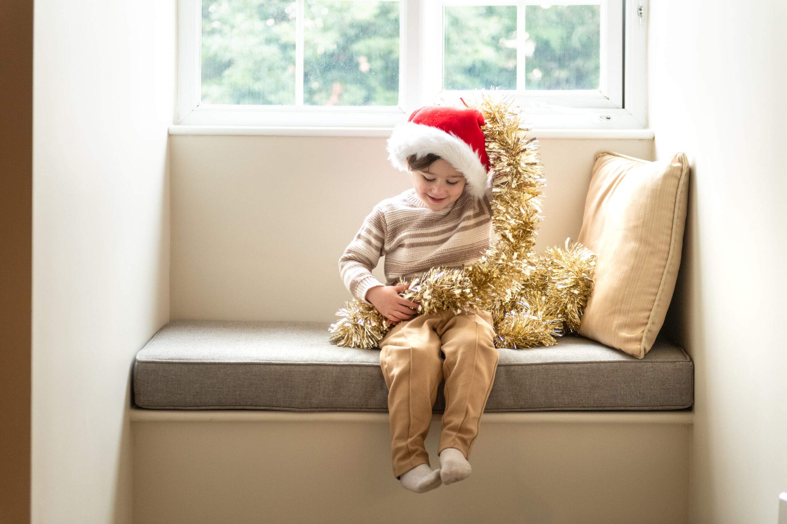 Christmas Breaks in the New Forest