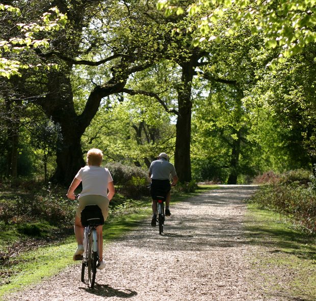 Two People Cycling In The New Forest